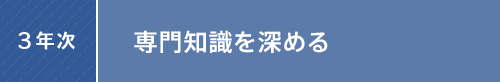 3年次:専門知識を深める
